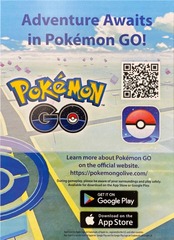 Pokemon GO Pin Collection - Pokemon GO Code Sheet (3 Pokemon GO Codes)